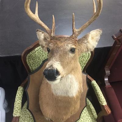 Mounted deer