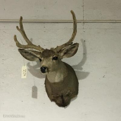 Sold!