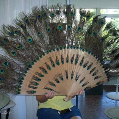 Large Peacock Feather Fan with original box