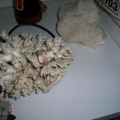 2 - Corals