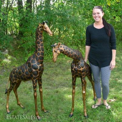 #131 â€“ Pair Large Bronze Standing Giraffes, Tallest 55â€ h.