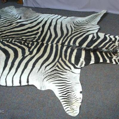 #114 â€“ Fine Authentic Zebra Rug, Approx. 8â€™ l.