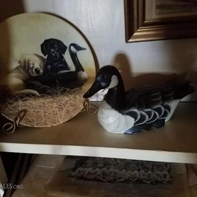 duck, mallord and goose collection American and Canadian