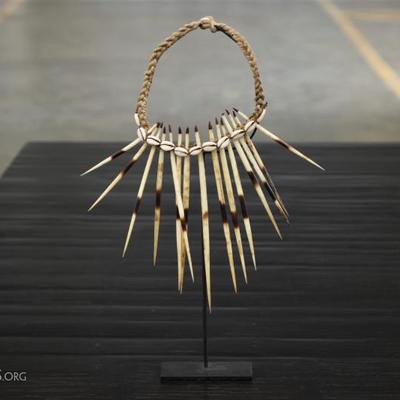 Natural Porcupine Quills And Shell Necklace #2