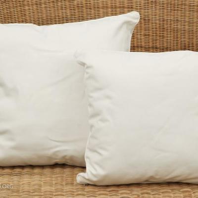 Set Of White Duck Custom Pillows - Seem To Be Indoor/outdoor Material