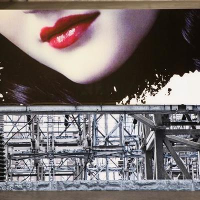Massive Contemporary Color Photo Montage Mounted On Plexiglass- Red Lips Over An 