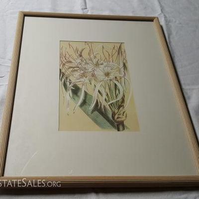 APC013 Framed Spider Lily Graphic Print
