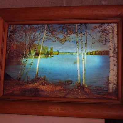 RECREATION ROOM LIGHTED PICTURE