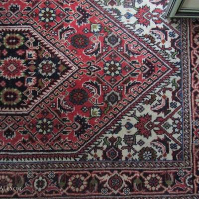 Oriental/Persian rug