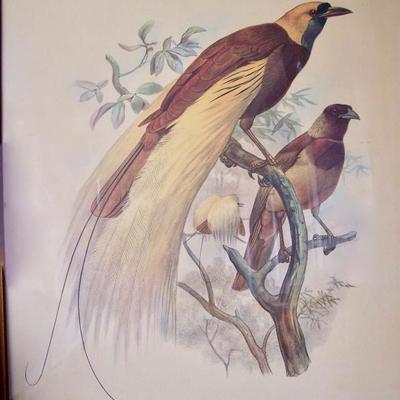 19thC HAND COLORED LITHOGRAPH 