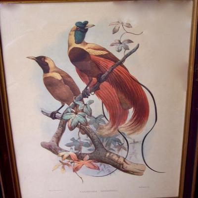 19thC HAND COLORED LITHOGRAPH 