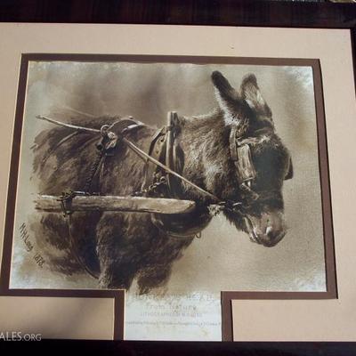 ALL ORIGINAL LITHOGRAPH TITLED DONKEY'S HEAD DRAWN FROM NATURE BY M. H. LOY 24X27 -- PUB. BY G. ROWNEY & CO. RATHBONE OXFORD ST LONDON...