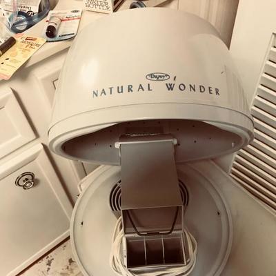 Vintage Hair Dryer (12.â€”)