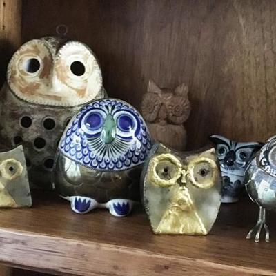 Various owls.