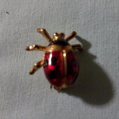 Lot 0017
Vintage Lady Bug Pin
Approx: 2.0