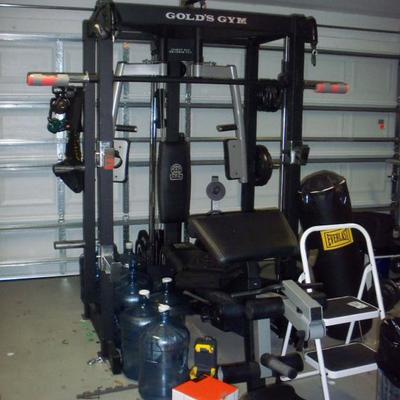 Gold's Gym Workout Station
