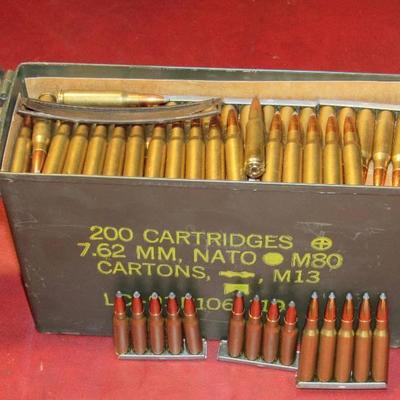 308 Winchester Rounds Approx 200 Rounds in decorat ...