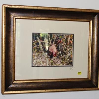 Framed and matted pomegranate photograph, signed,  19