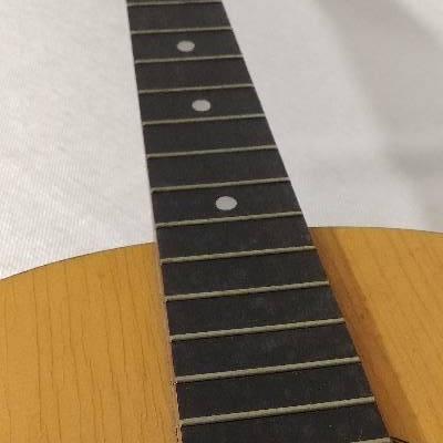 Takamine G Series EG260C Acoustic Electric Guitar