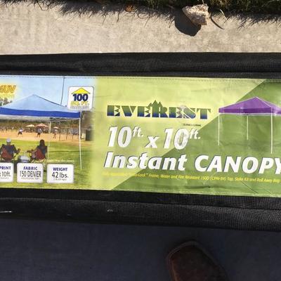 10' X 10' canopy 