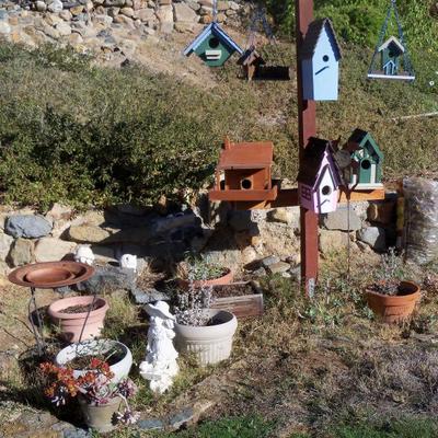 Bird houses, plants