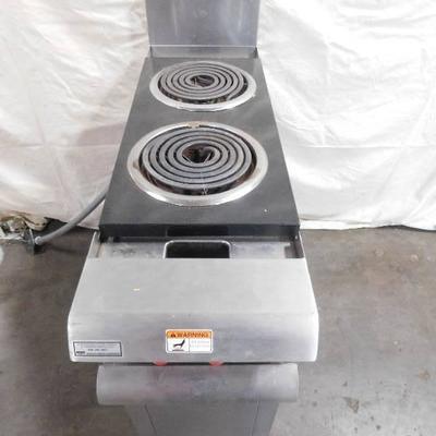 Vulcan 2 Burner Stand up Electric