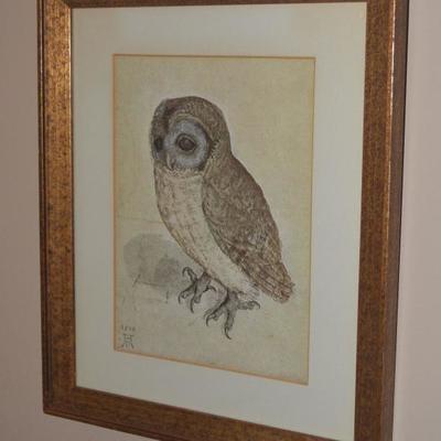 Albrecht Durer owl print