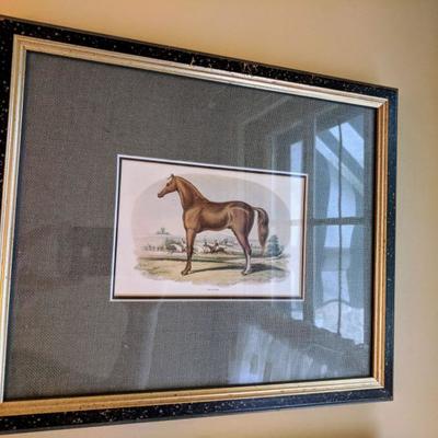 Race horse print 