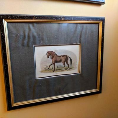 Race Horse Print 
