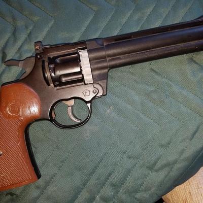 pellet gun