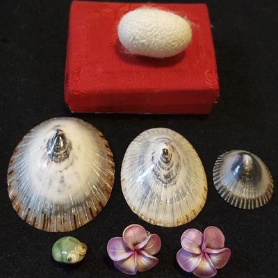 NPT087 Silkworm Cocoon, Vintage Polished Opihi Shells & More
