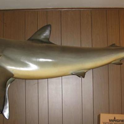 7' shark, full mount, BUY IT NOW  $ 265.00 