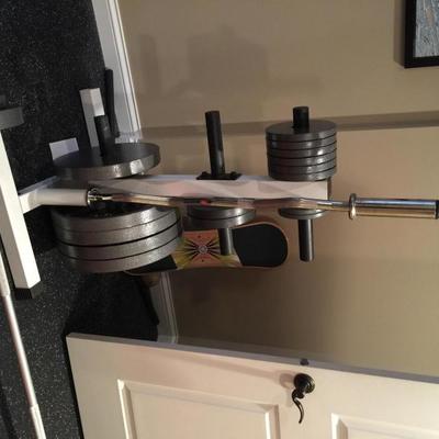 Weights w/ Stand and Bar   $250.00 