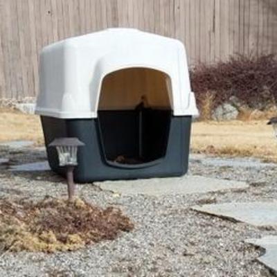 Pup Kennel