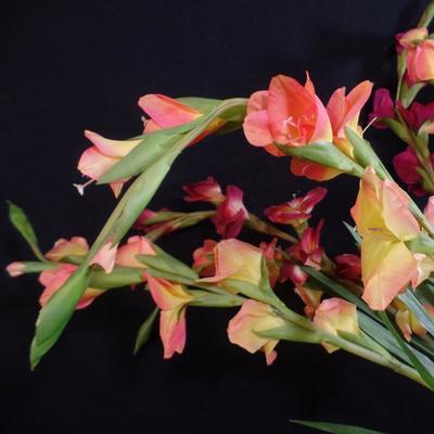 â€˜Marann Online Estate Sale Auctionâ€™ currently open for bidding! All bids start at $1. To VIEW more photos and details or to PLACE A...