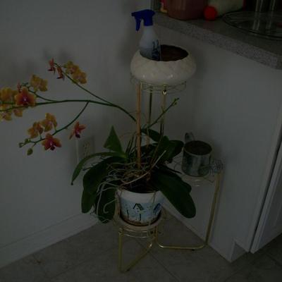 Brass plant stand
