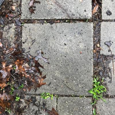 12â€ Square Natural Concrete Stepping Stones $2 (each - hundreds available)