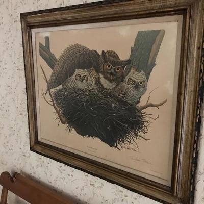 â€˜Great Horned Owlâ€™ Signed Richard Sloan Print
(28â€w x 27â€h image size)  $90