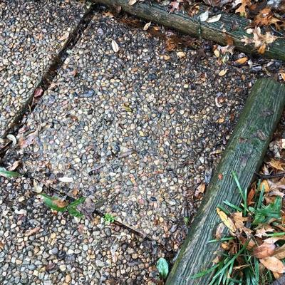Exposed Aggregate 24â€ x 24â€ Stepping Stones $12 (each - fifty available) PERFECT FOR MCM & MINIMALIST LANDSCAPES 