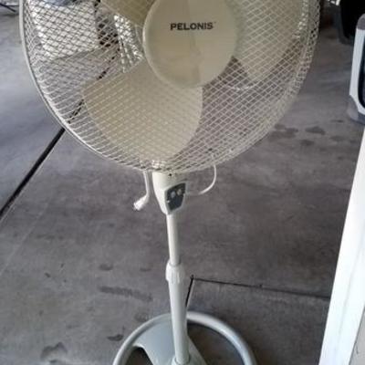 Standing Fans