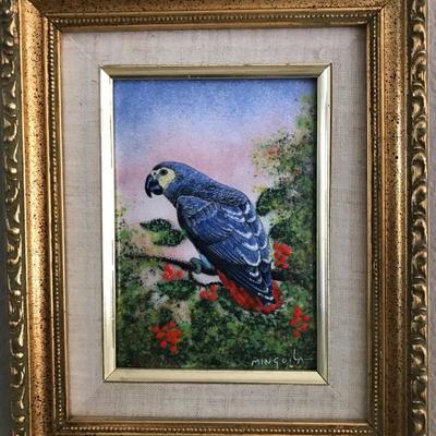 Dom Mingolla Parrot