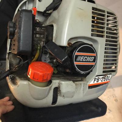 Echo leaf blower