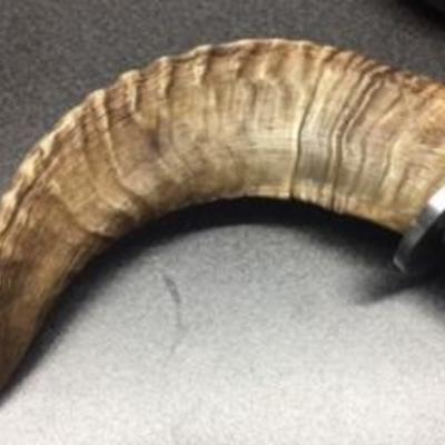 Damascus 18" Sickle Blade with Sheep Horn Handle & Leather Sheath