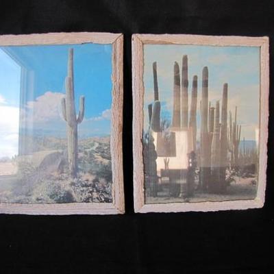 Saguaro Cactus Frames Prints