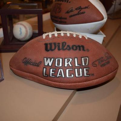 Wilson World League Football 