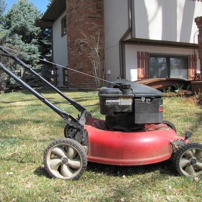 Lawnmower & Electric Trimmer