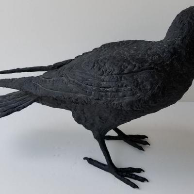 Eppler Raven