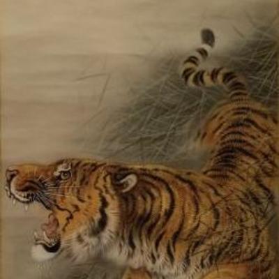 Tiger Signed Scroll Painting