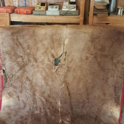 ANIMAL HIDE