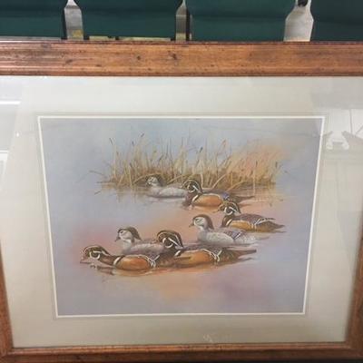 Duck Print Signed Anni Moller 32x26 w/ Frame